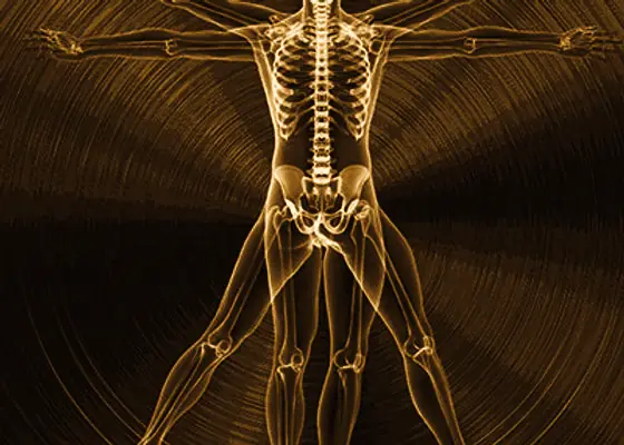 Skeletal structure