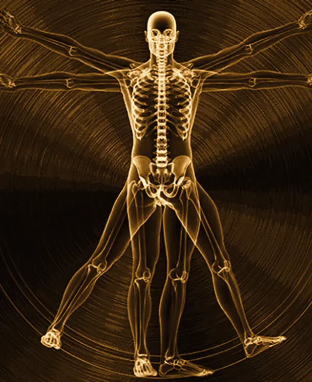 Skeletal structure